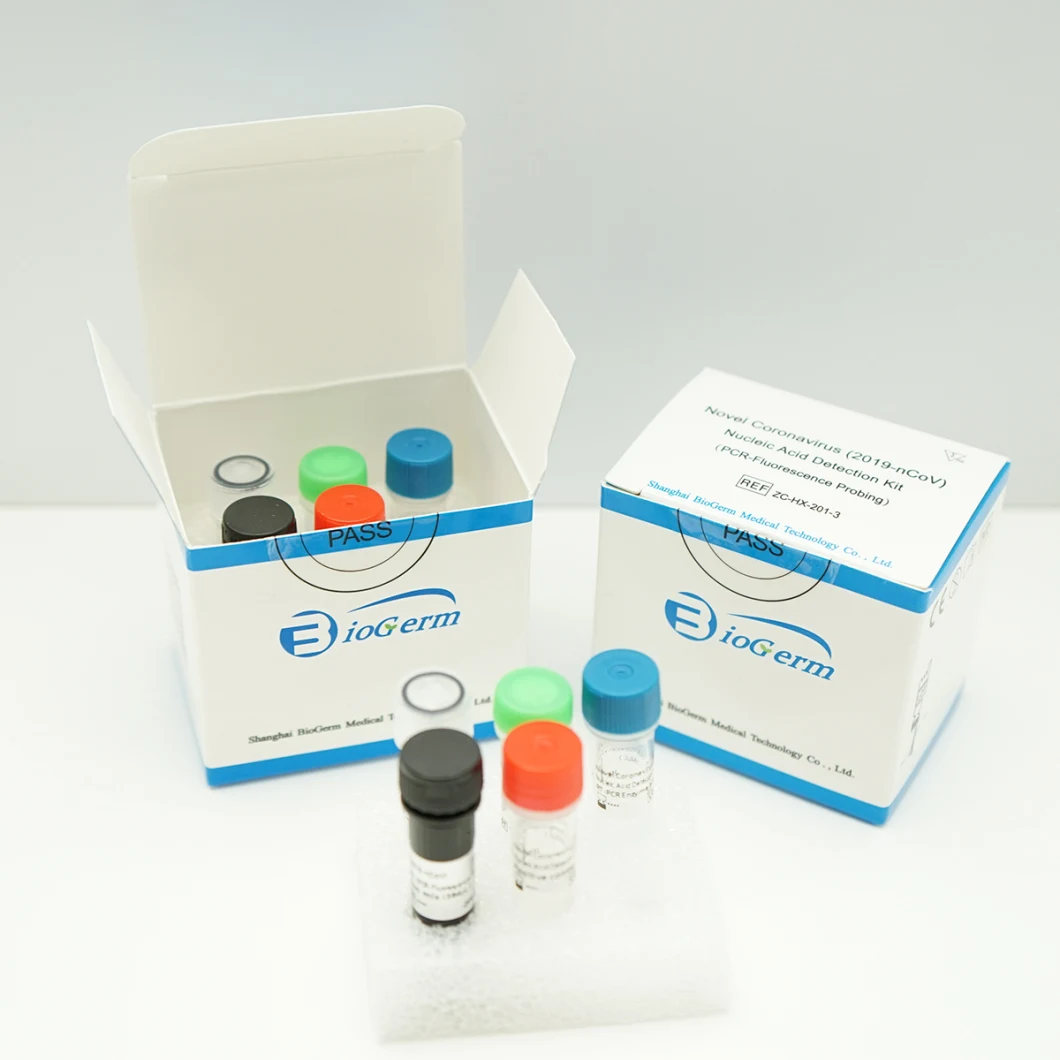 2019 Nucleic Acid Detection Kit PCR-Fluorescence Probing