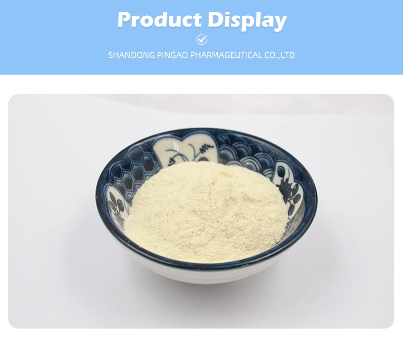 China Suppliers OEM Food Grade Food Additives Lactobacillus Paracasei Probiotic Powder