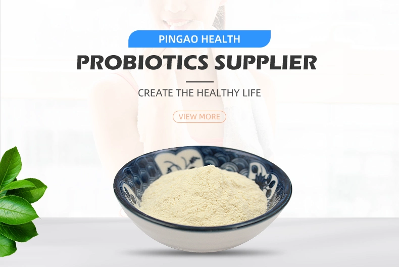 Factory Sale Food Grade Lactobacillus Fermentum Live Probiotic Powder