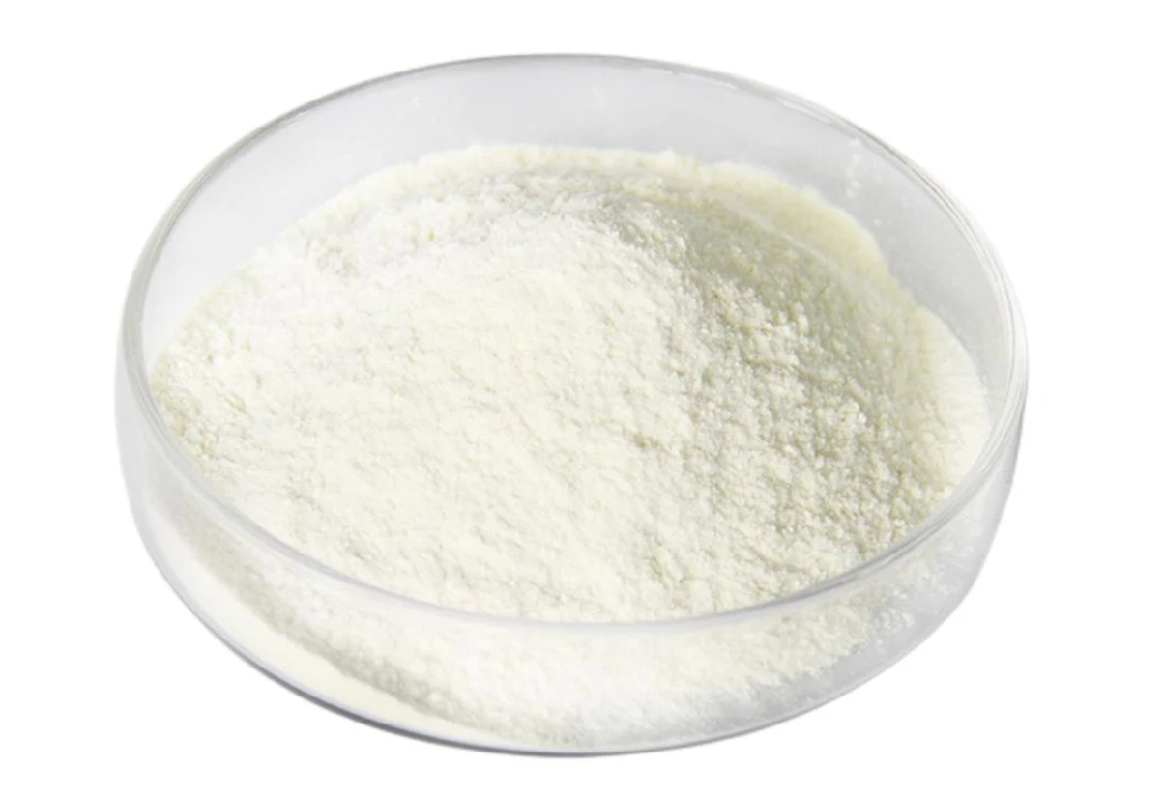 20-800 Billion ISO Certificated Food Grade Probiotic Bulk Powder Lactobacillus Probiotics for Dairy Products