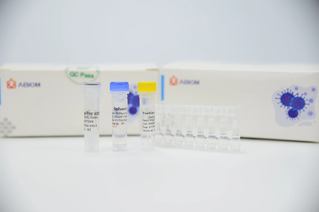 Human Papillomavirus Nucleic Acid Rapid Rt PCR Antigen Detection Kit with CE