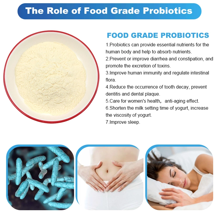 OEM Healthcare Supplement Enhance Immunity 10bcfu/G Lactobacillus Bulgaricus Probiotics Powder